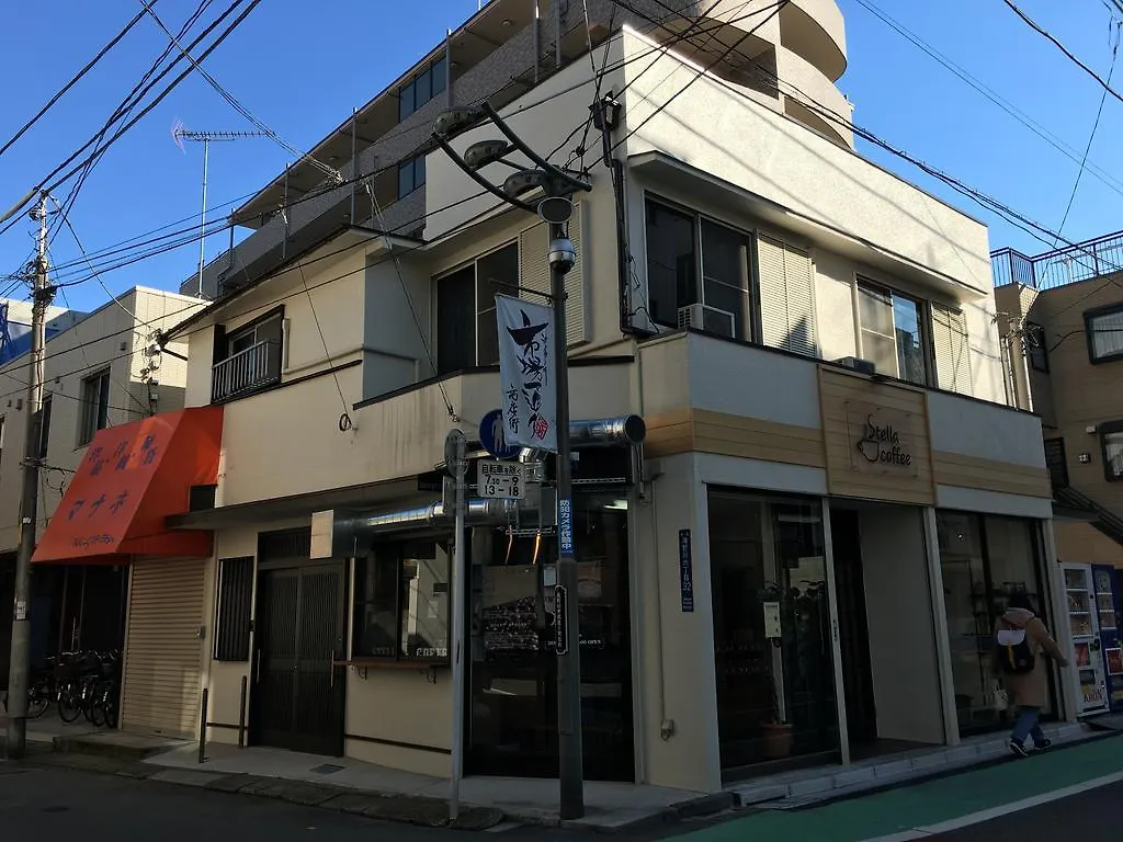 Tokyo City Villa Traditional Designer House